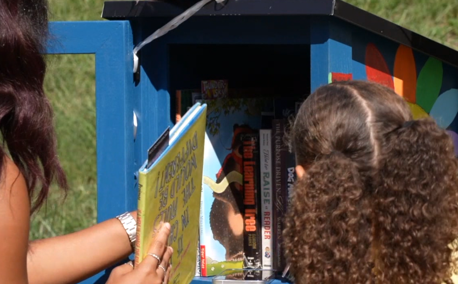 little free library