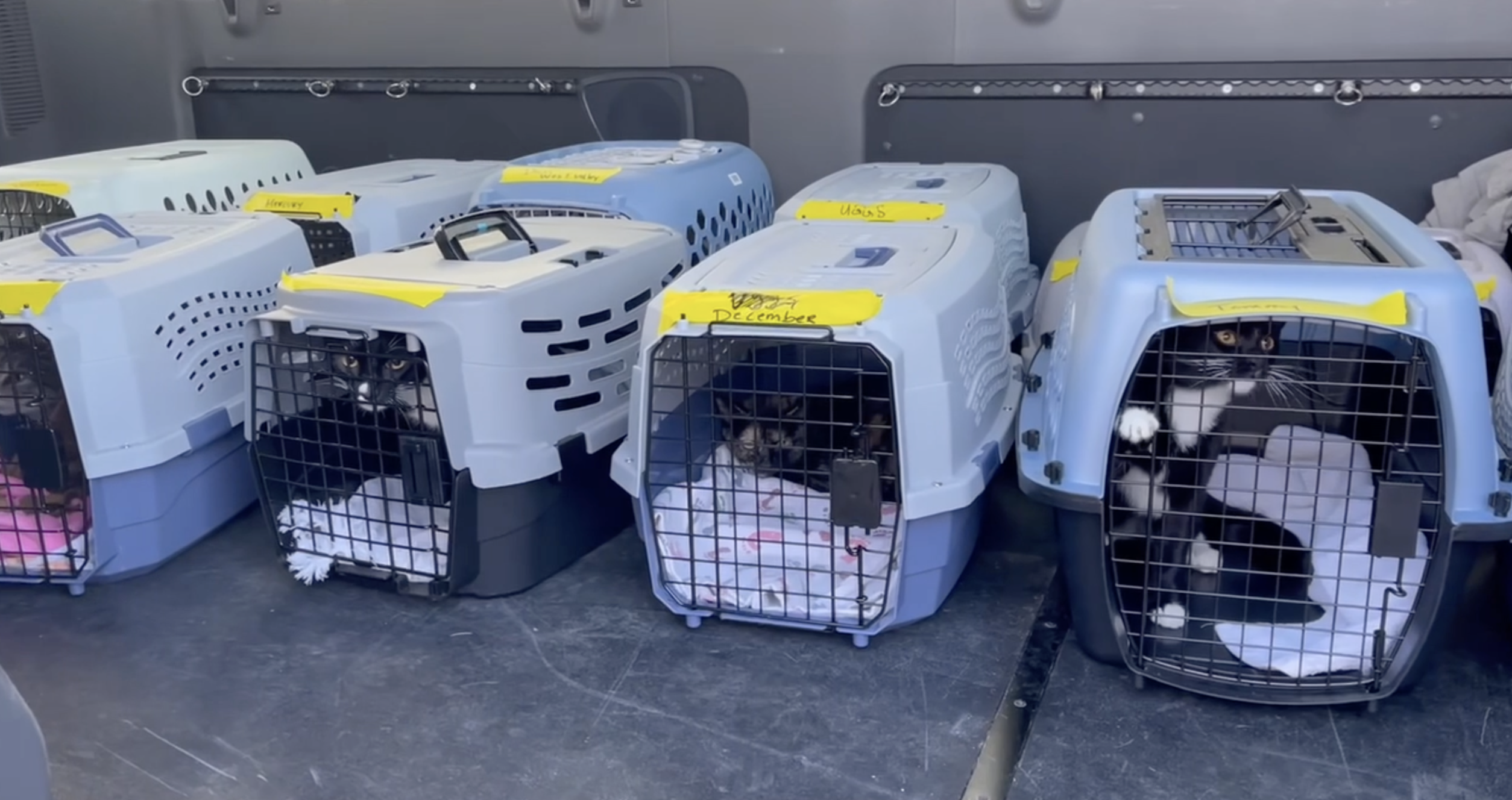 Screenshot 2025-01-25 at 9.25.08 PM.png