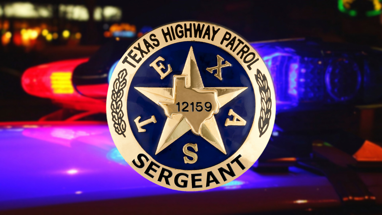 DPS POLICE LIGHTS GENERIC.png