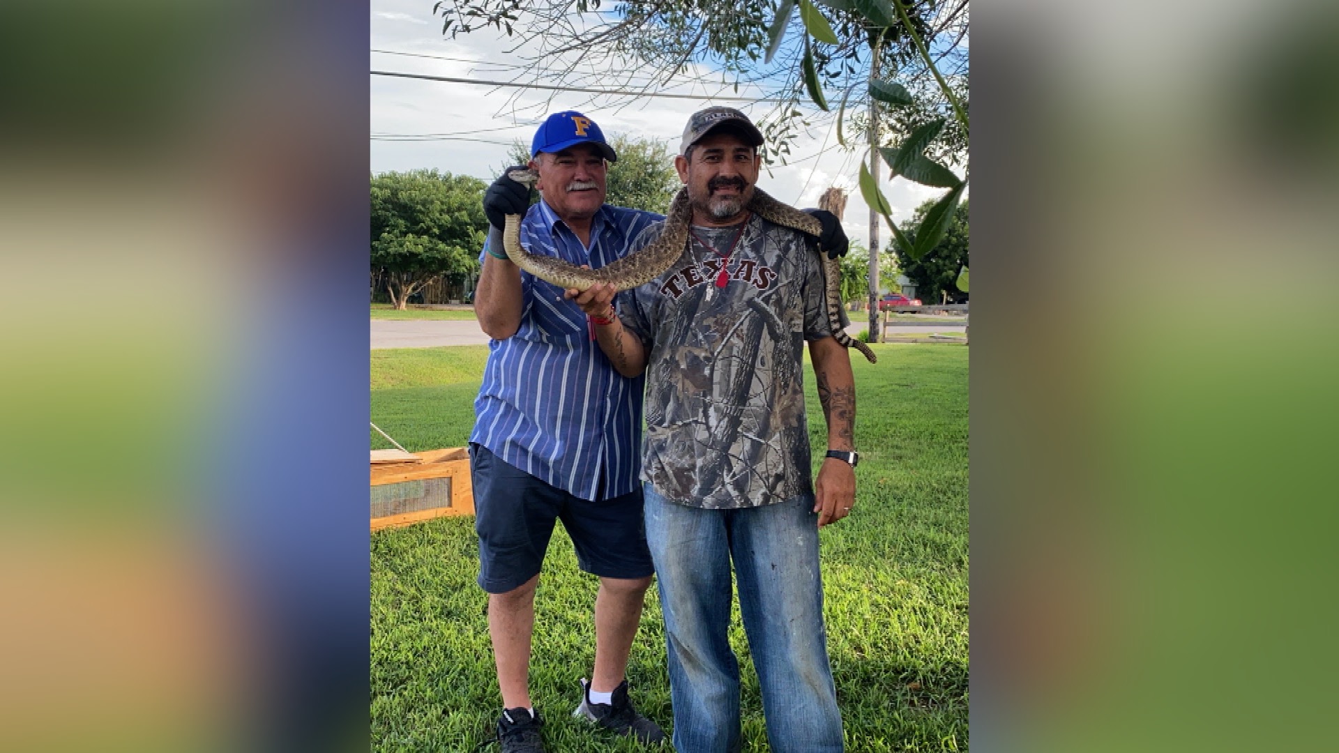 Freer snake handler died doing 'what he loved most' - Vimarsana News