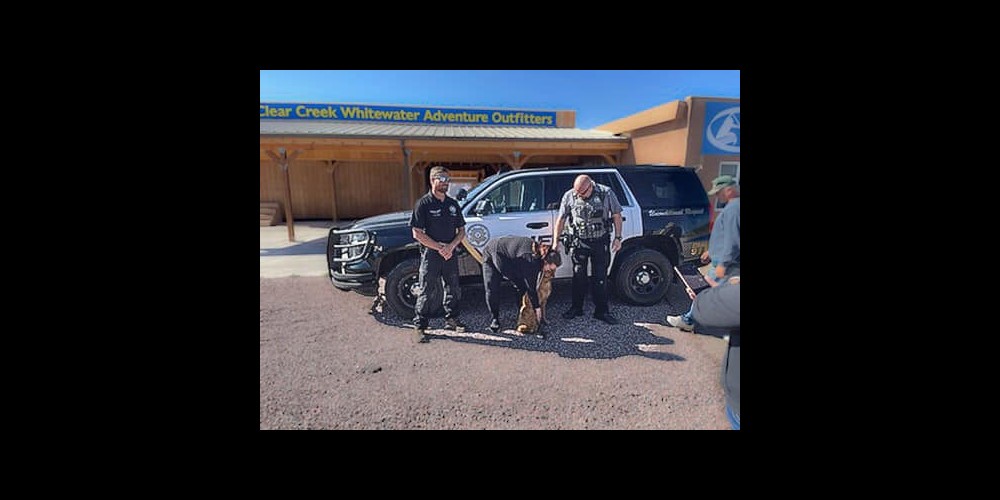 fcso dog found.jpg