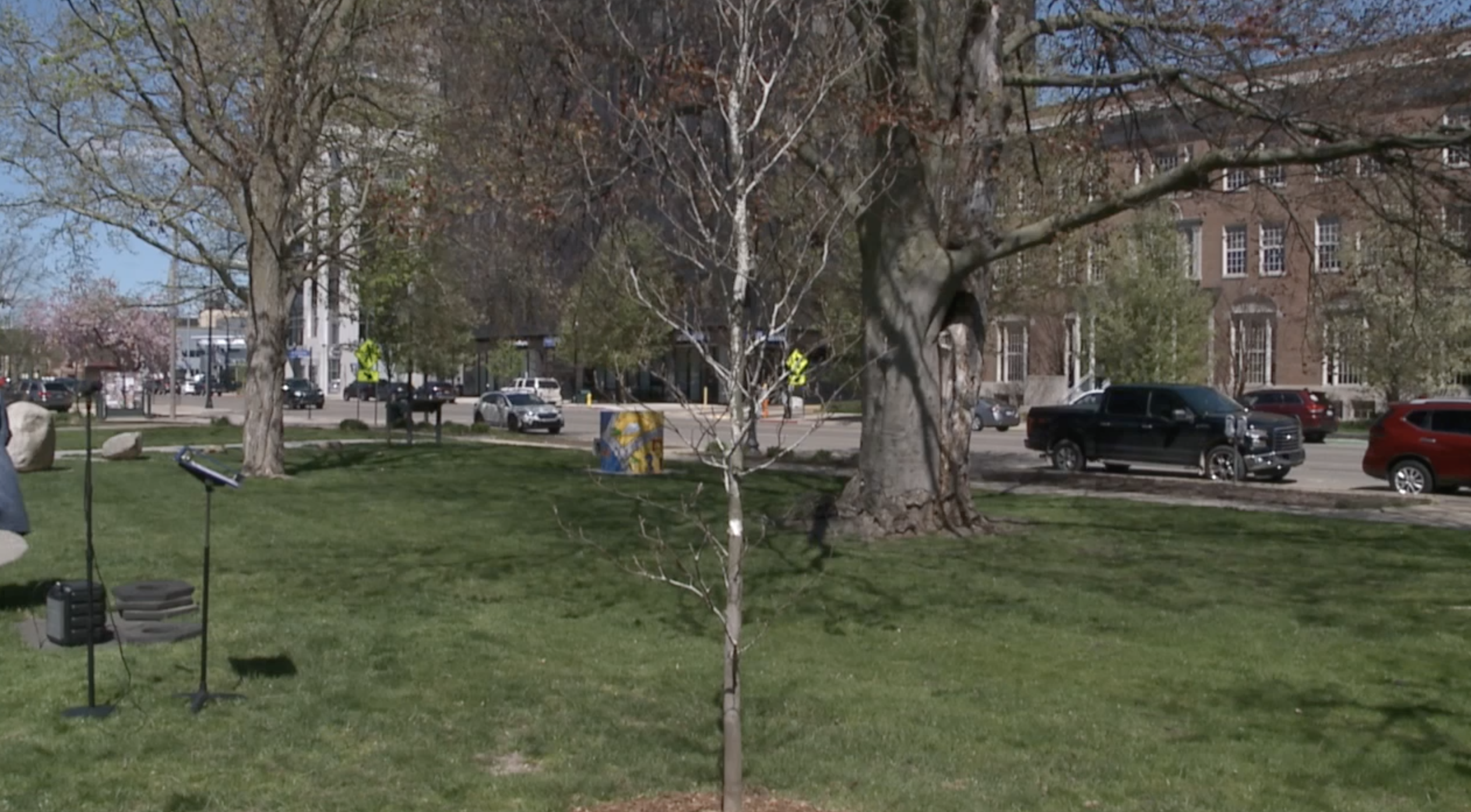 Liberty Tree Kalamazoo