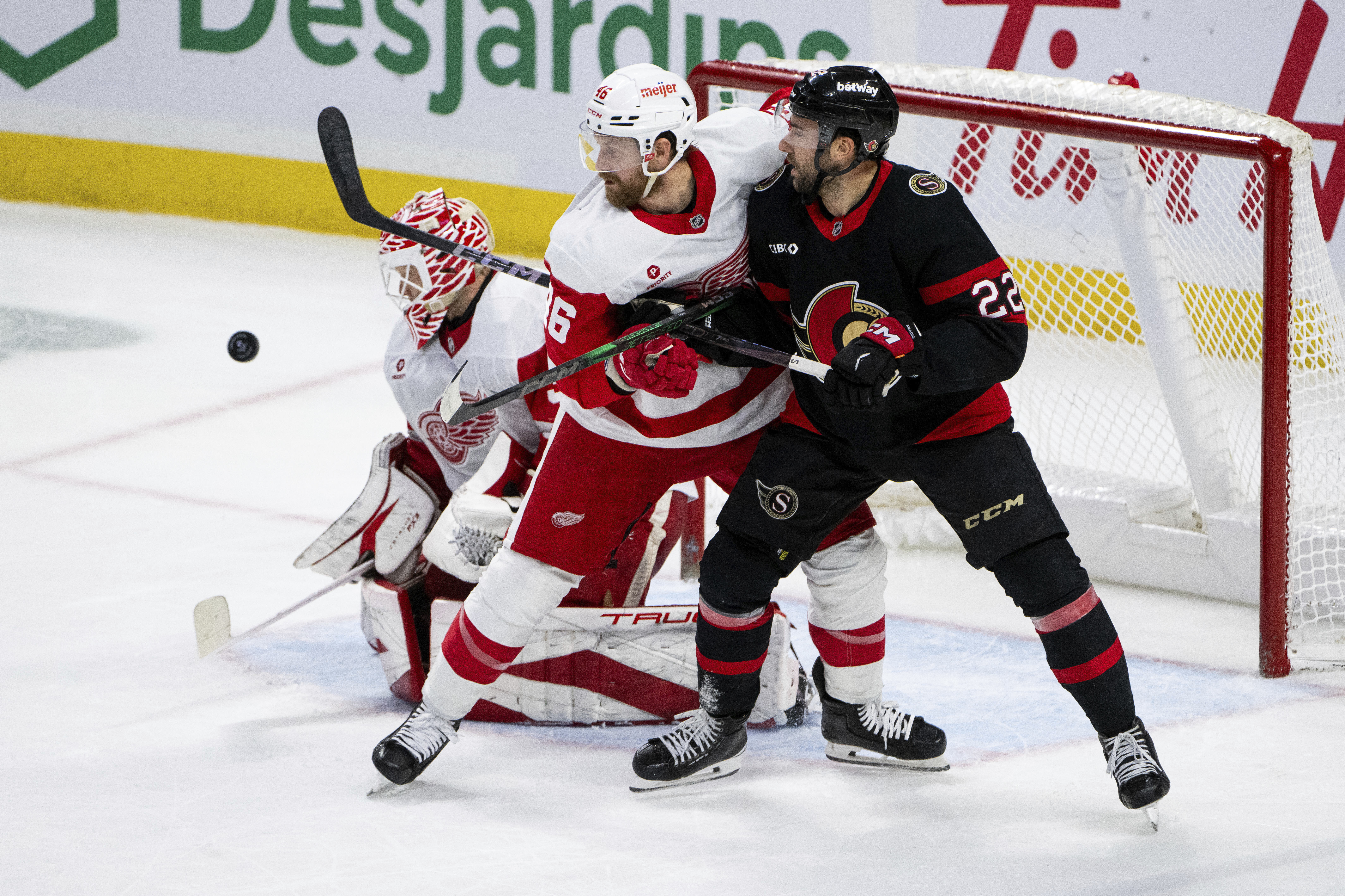 Red Wings Senators Hockey