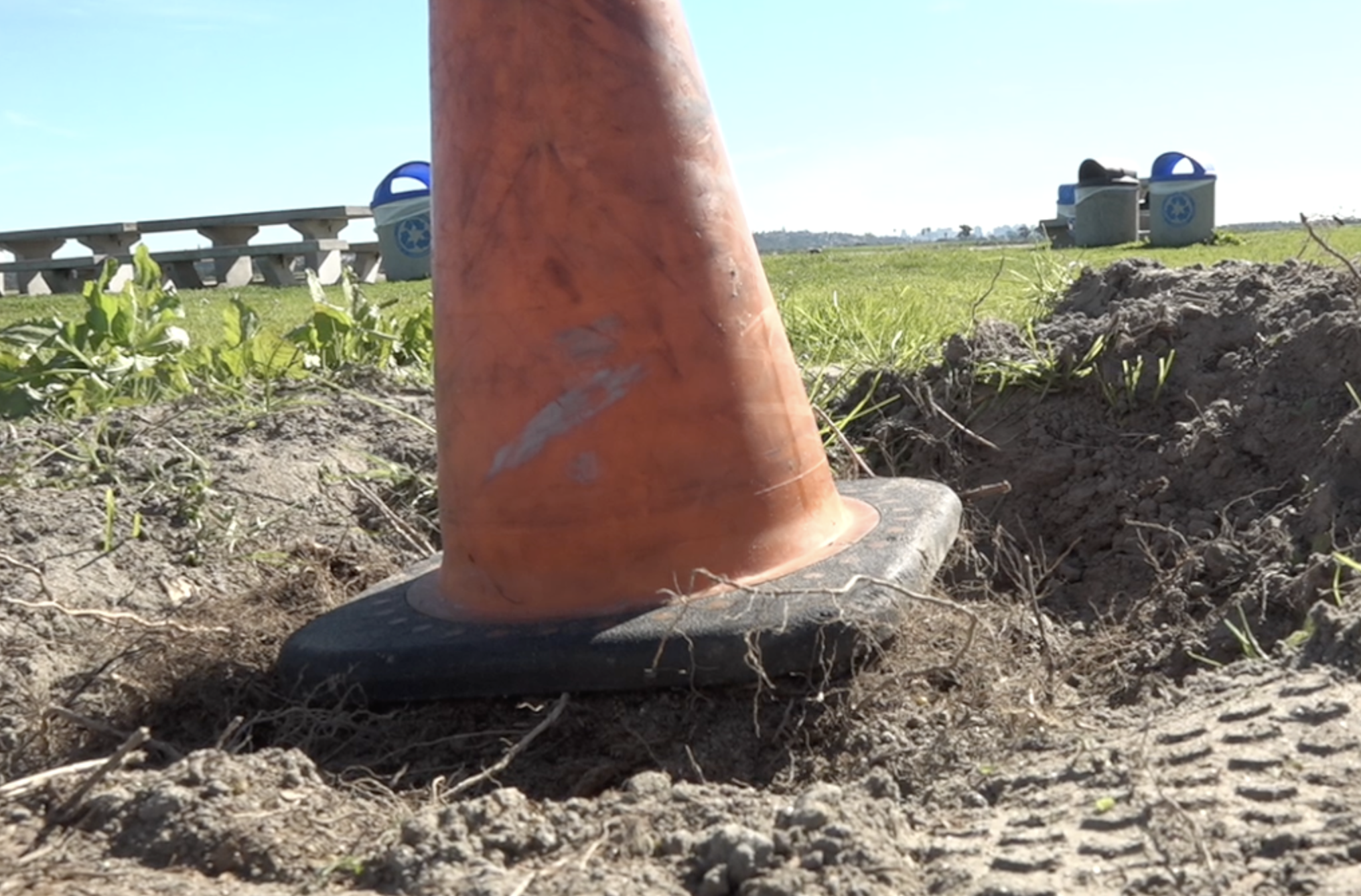 Memorial tree honoring murdered teen vandalized again, leaving mother devastated