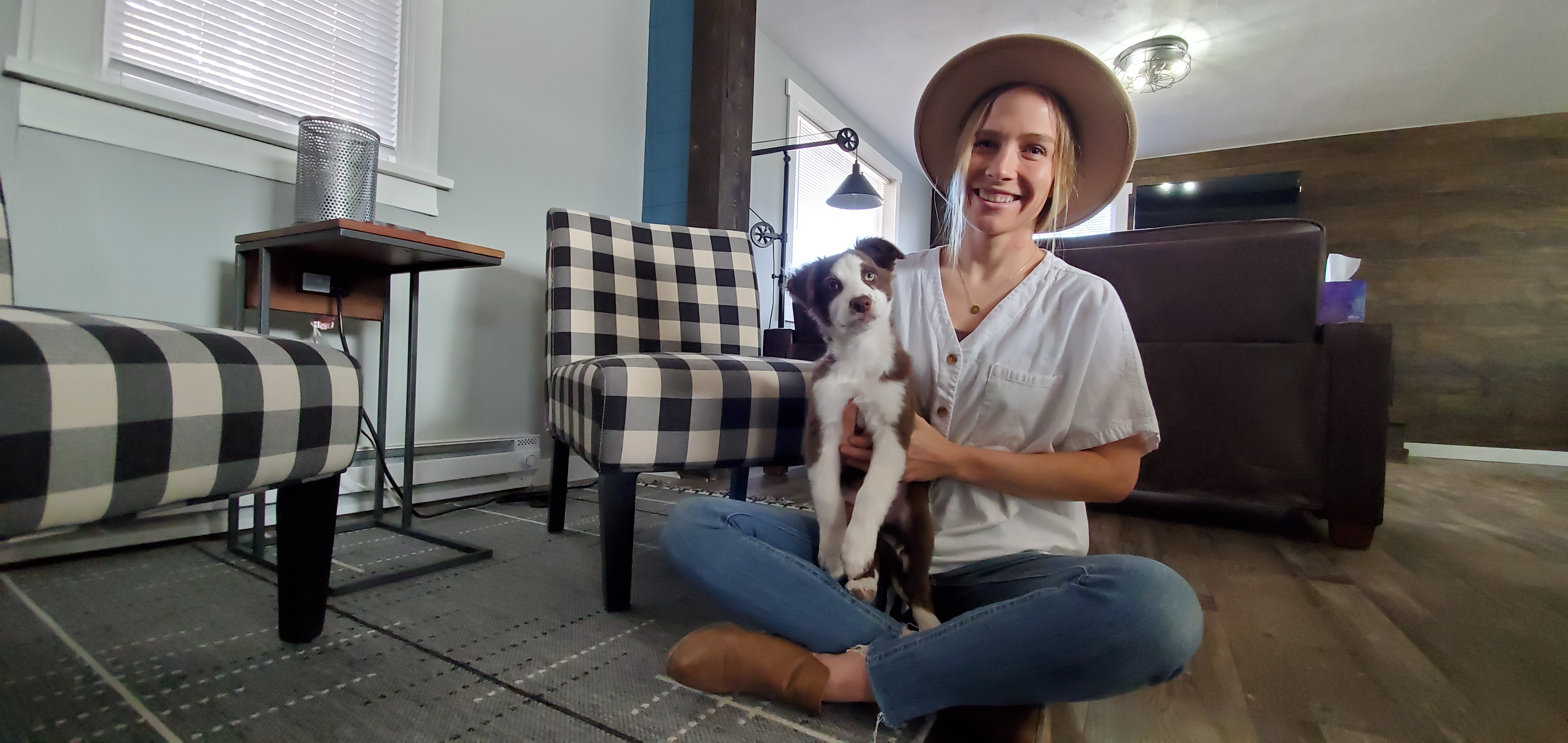 townsend dog rescue