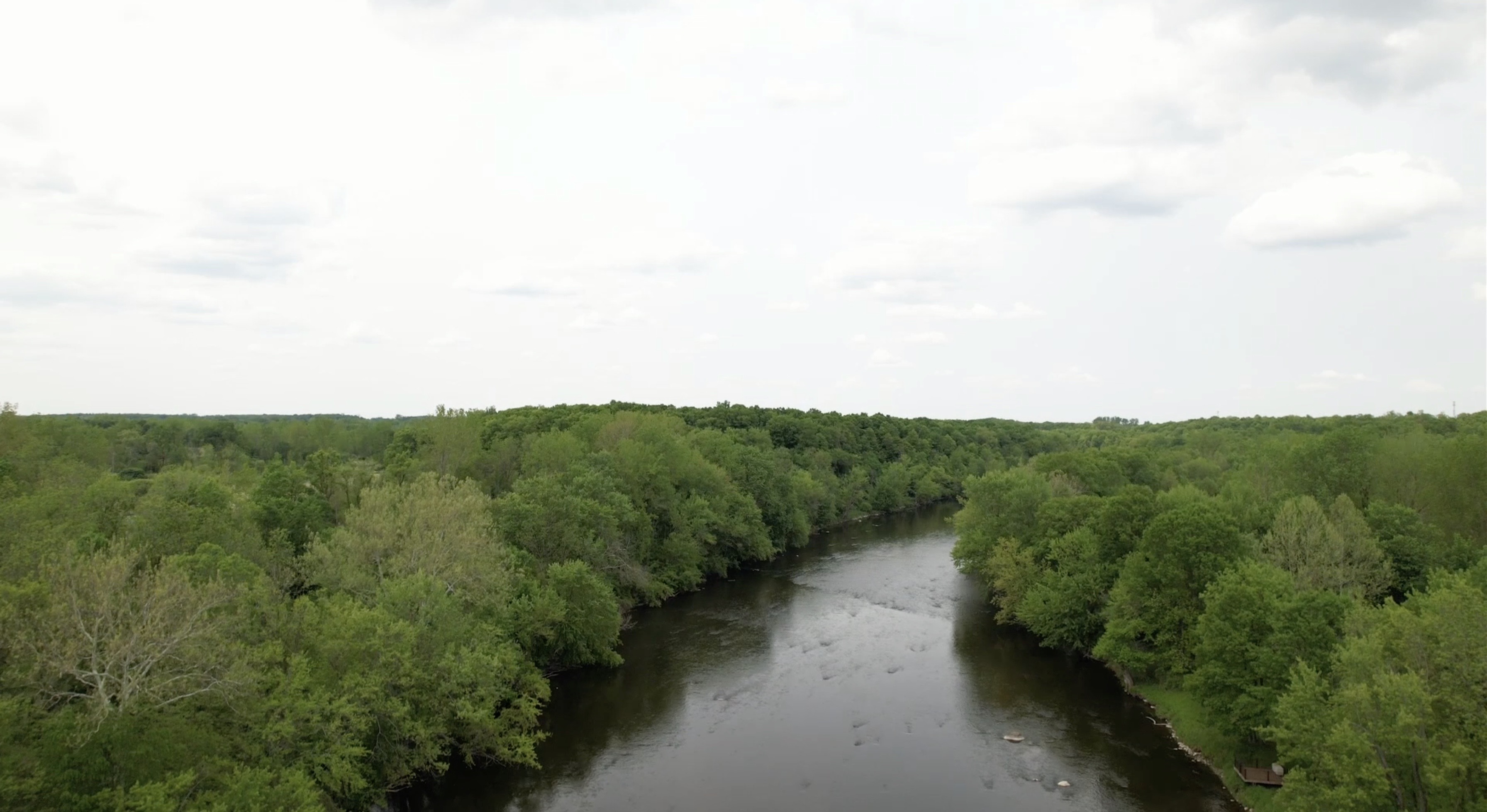Overhead view of the Grand River