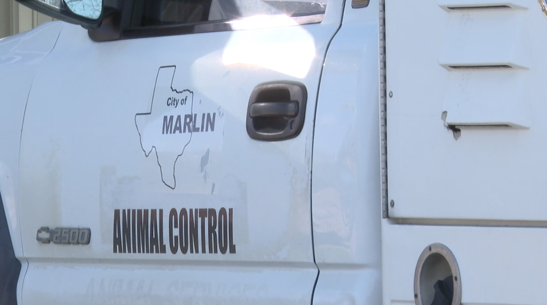 Marlin Animal Shelter