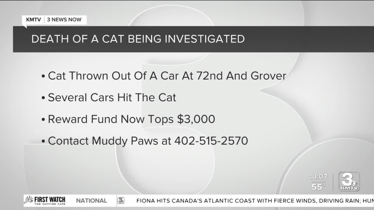 Poster image - 2022-09-26T065928.582.jpg