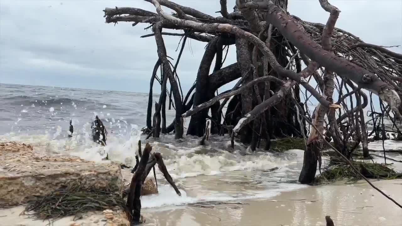 Two beaches test positive for high levels of bacteria