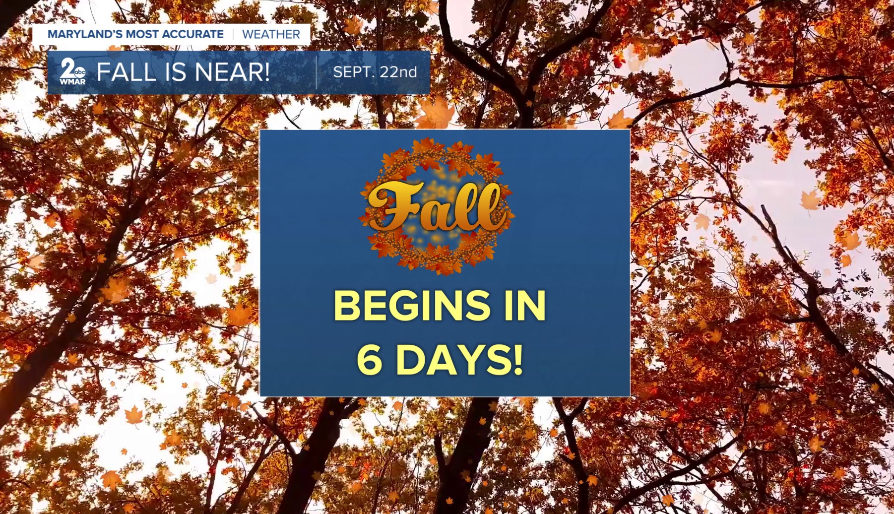 fall.jpg