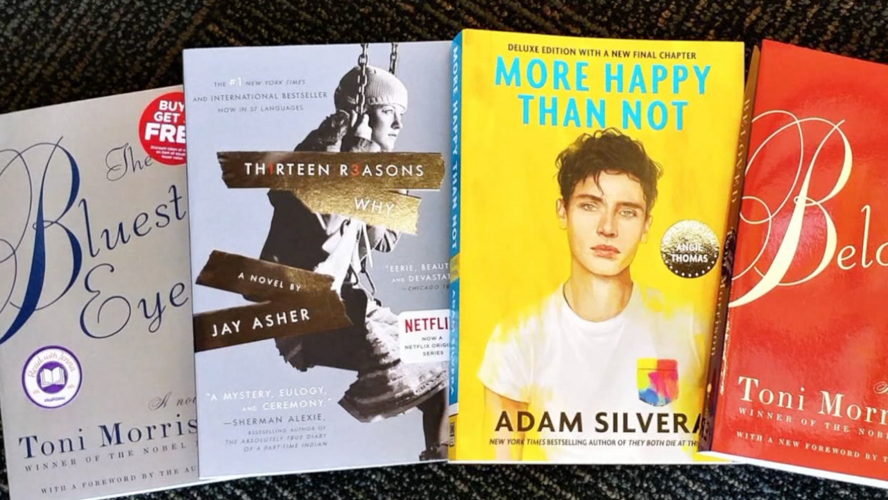 Polk Schools books2.png