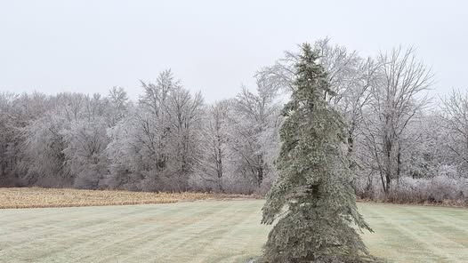 Heather Fletcher-Ball - Armada.jpg