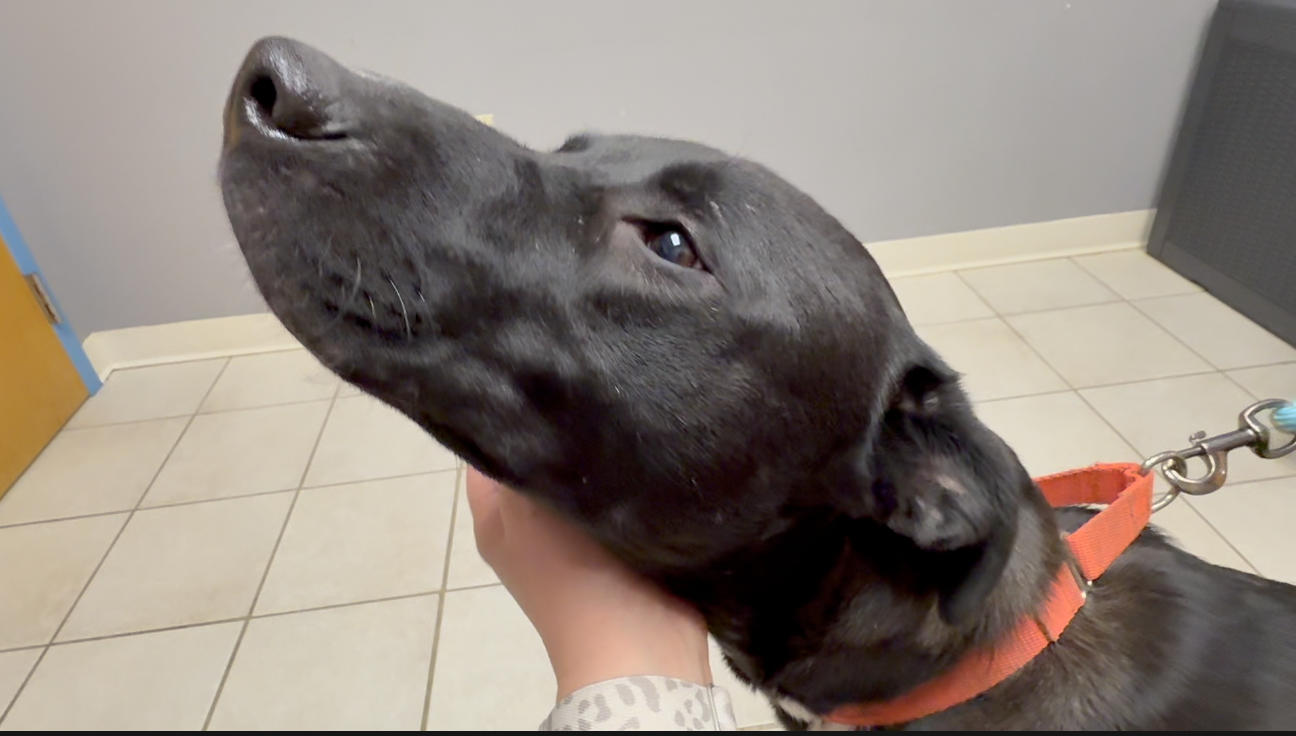 Screenshot 2026-01-16 at 5.10.01 PM.png