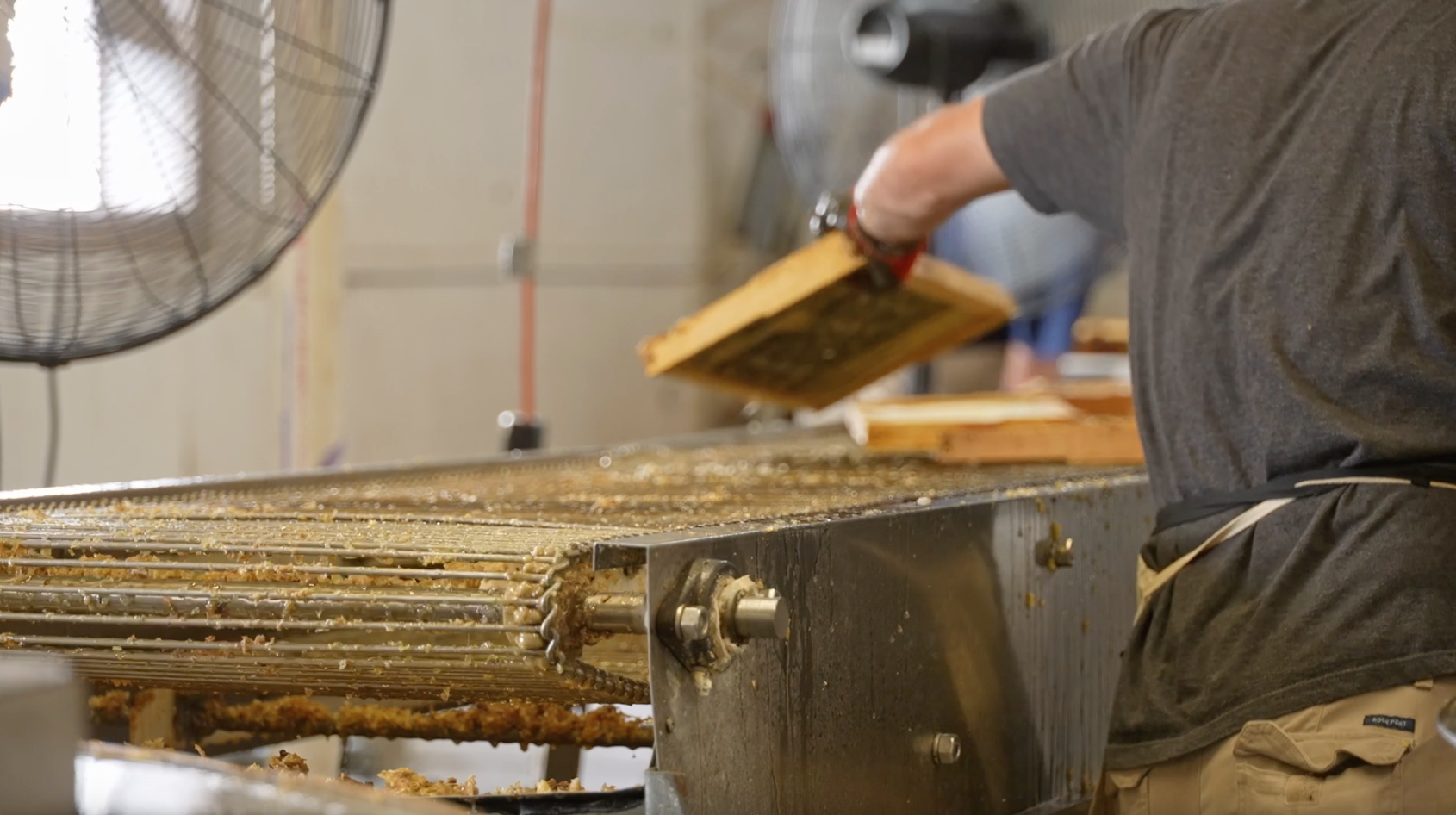 Drange Apiary honey extracting season