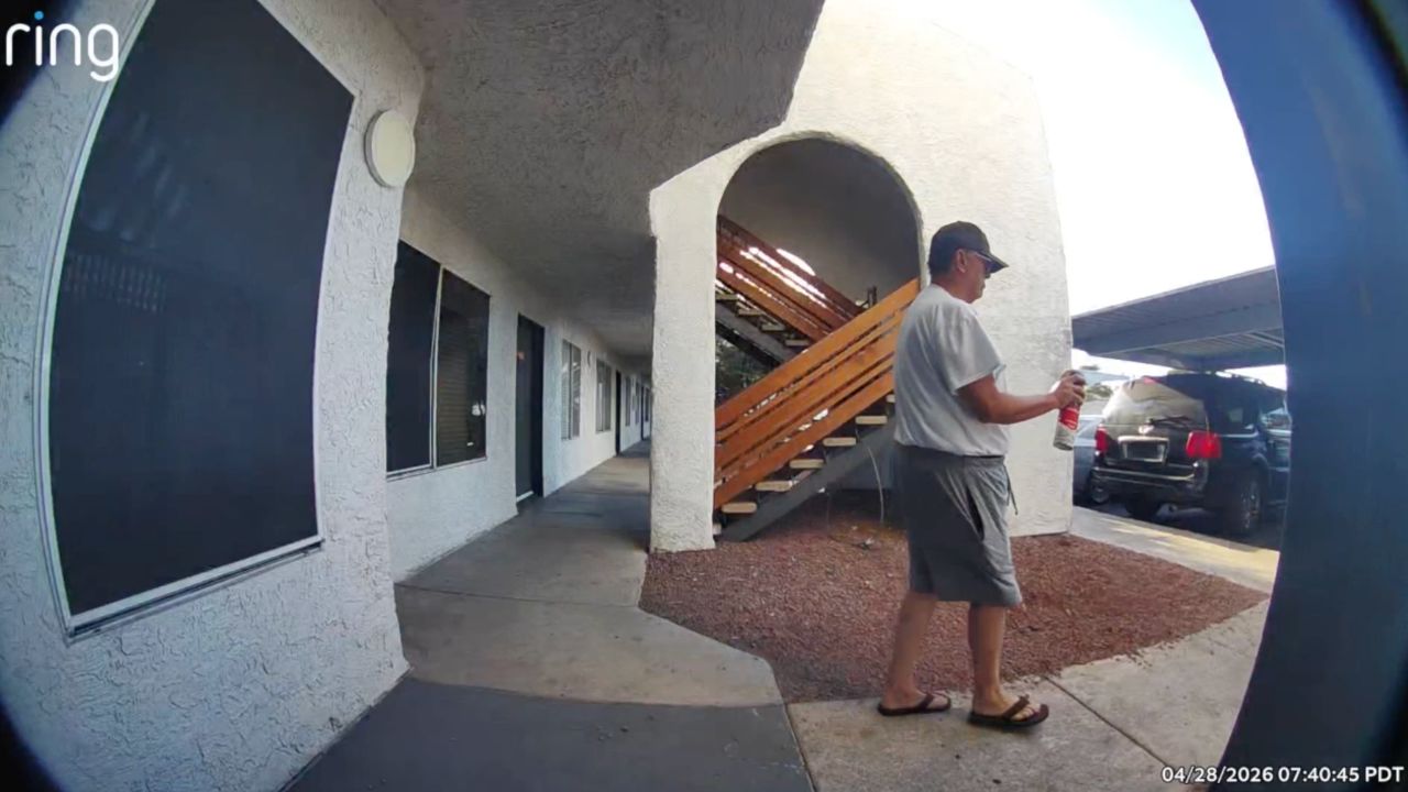 Man spraying cats