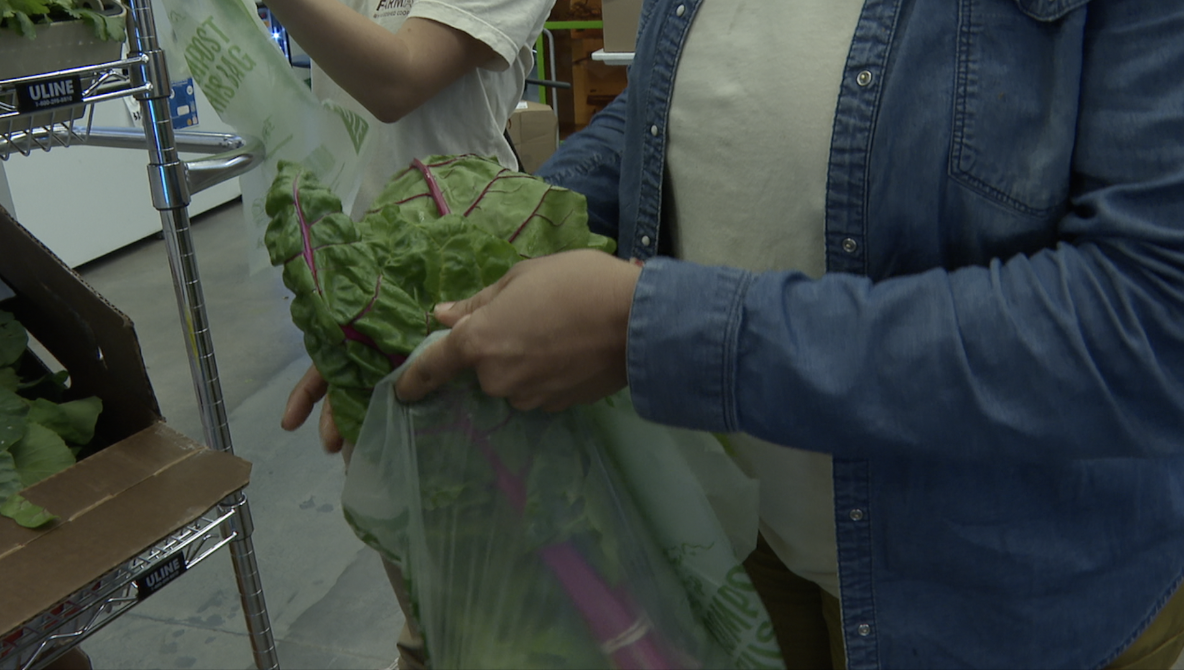 Volunteers packing food at the Food Shed Cooperative. 