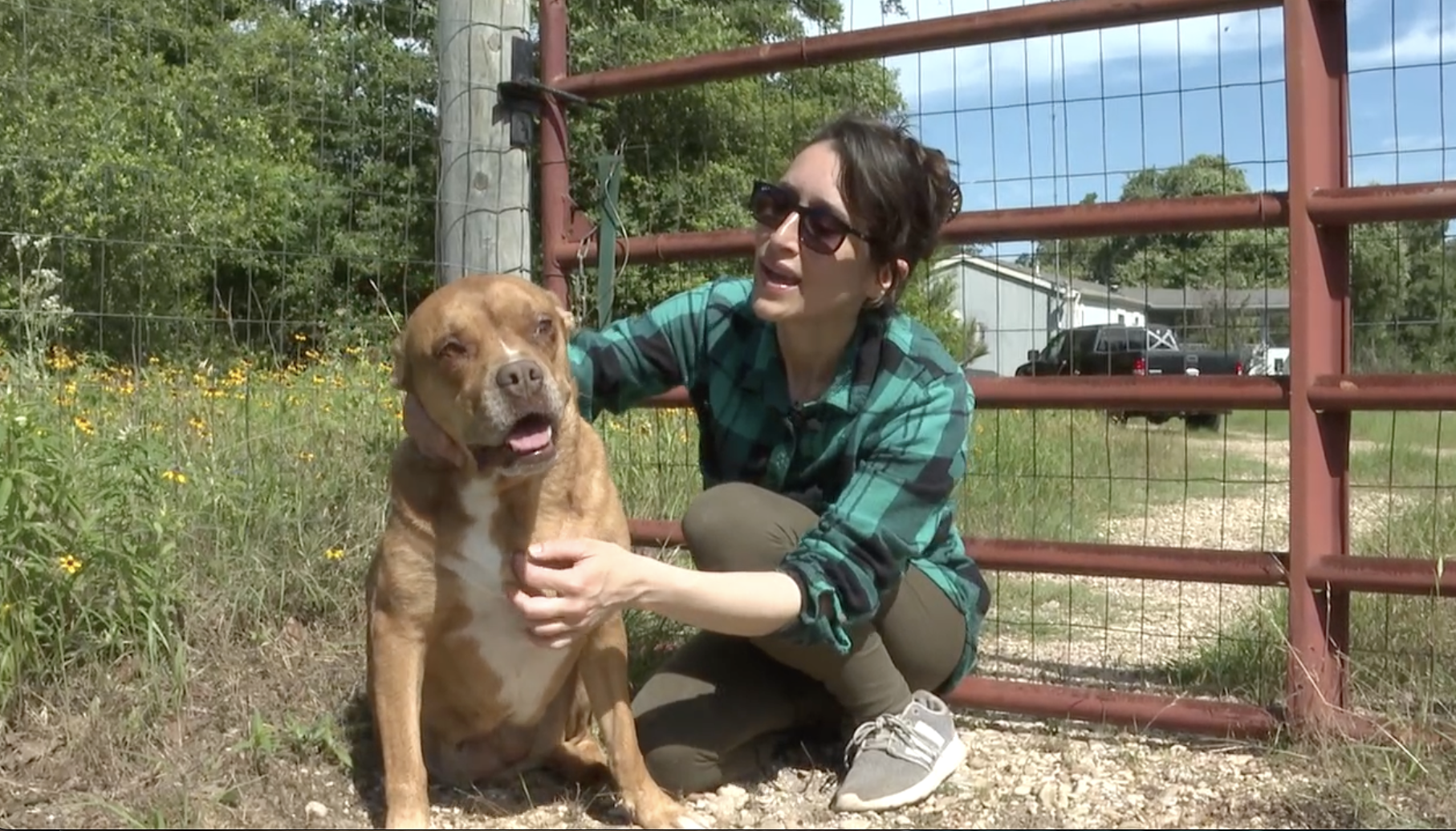 Caldwell woman writes book advocating for responsible pet ownership after overpopulation overloads non-profits 