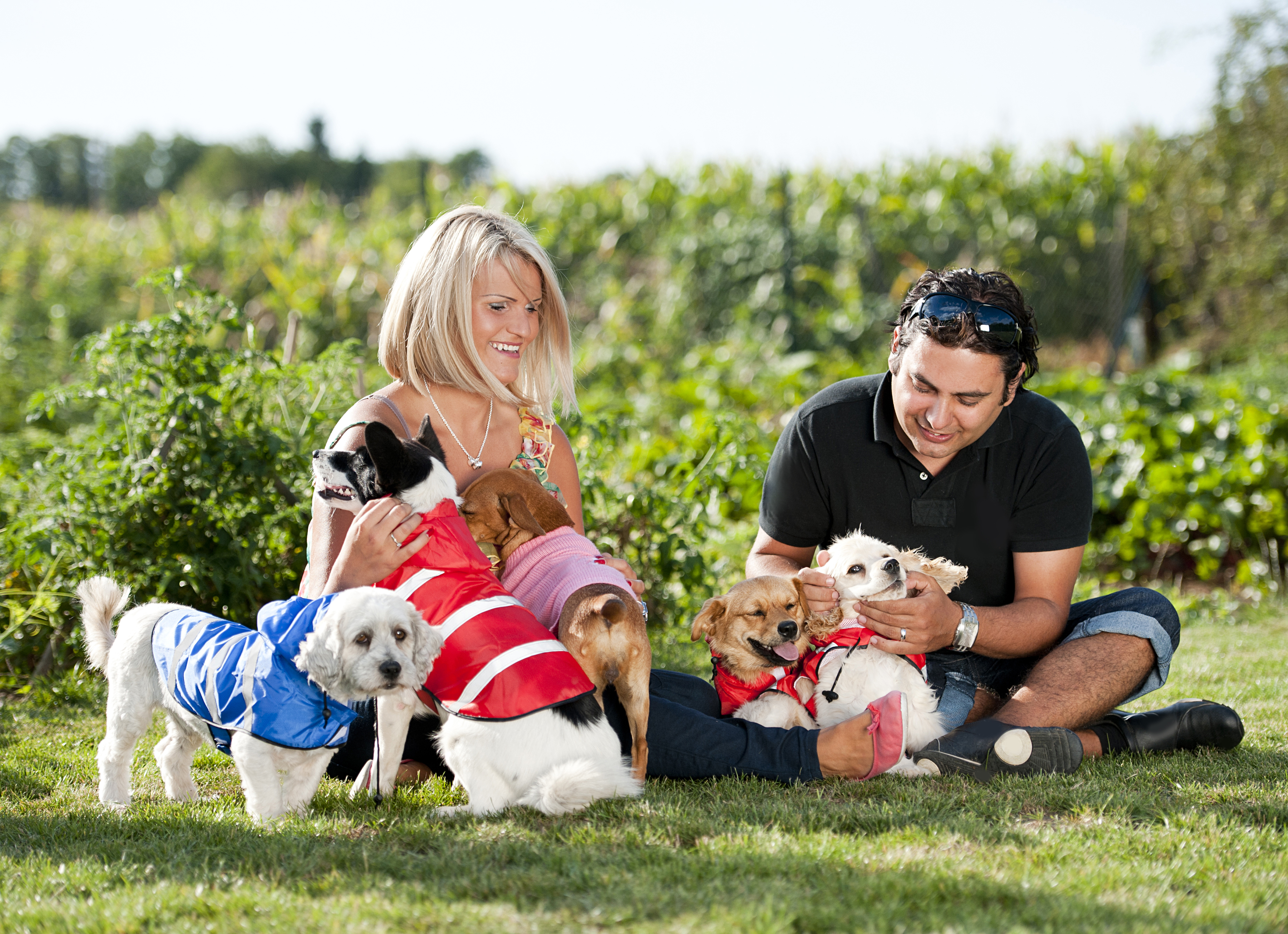 Young couple with dogs
