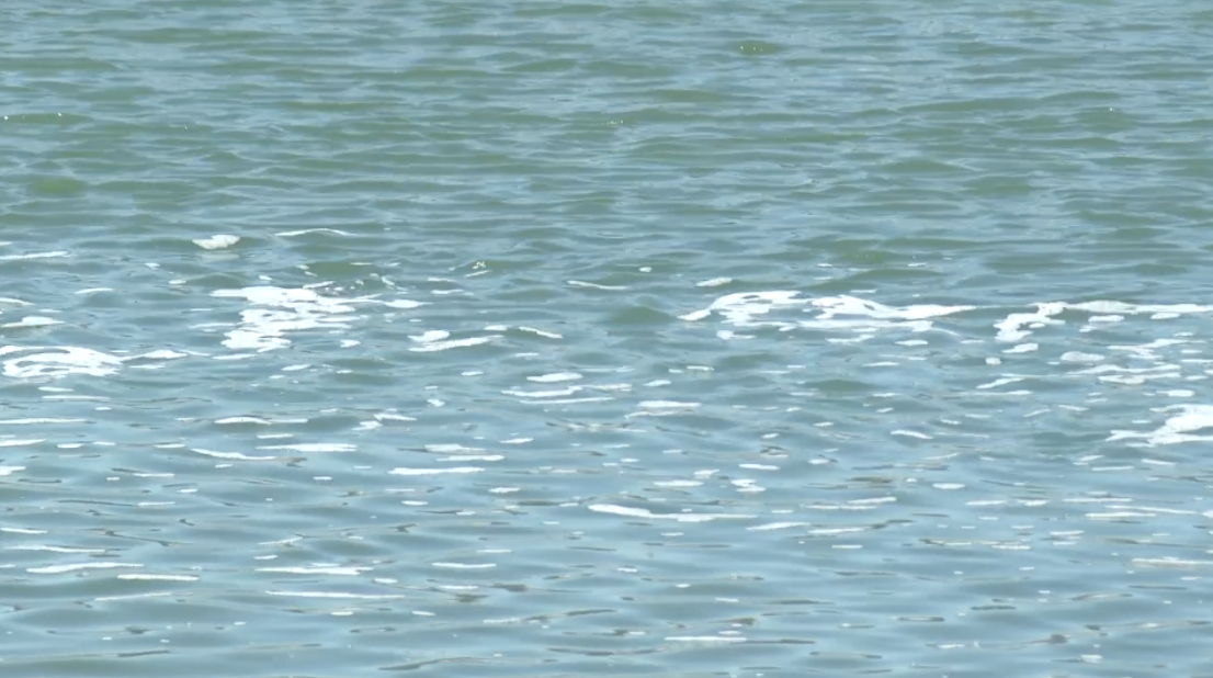 Scientists request another study to look at "forever chemicals" in water systems  