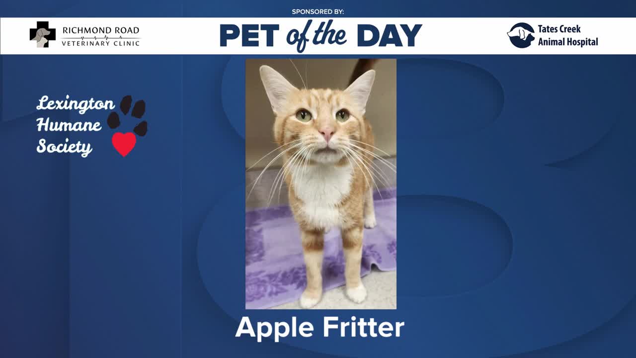 Poster image - 2023-09-25T125516.084.jpg