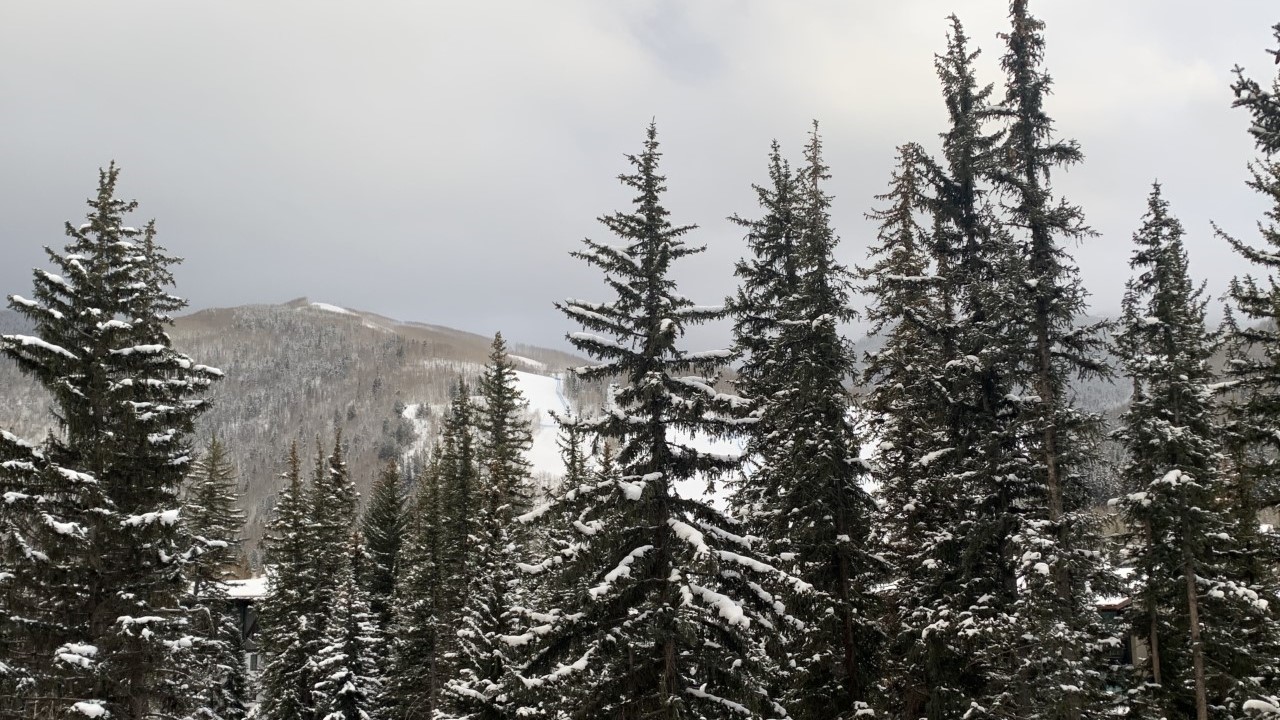 Fresh snow at Vail Ski Resort