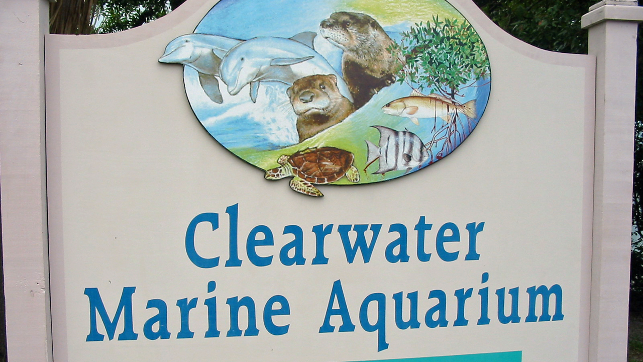 Clearwater Marine Aquarium