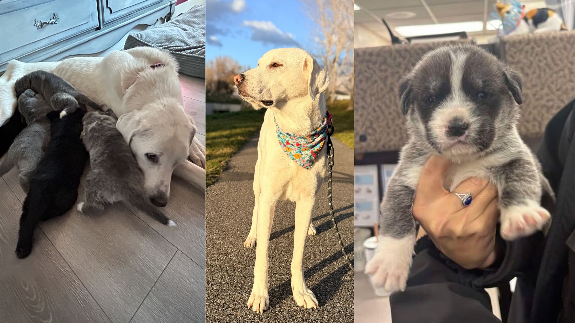 MICHAEL THUMBNAILS (1).jpg