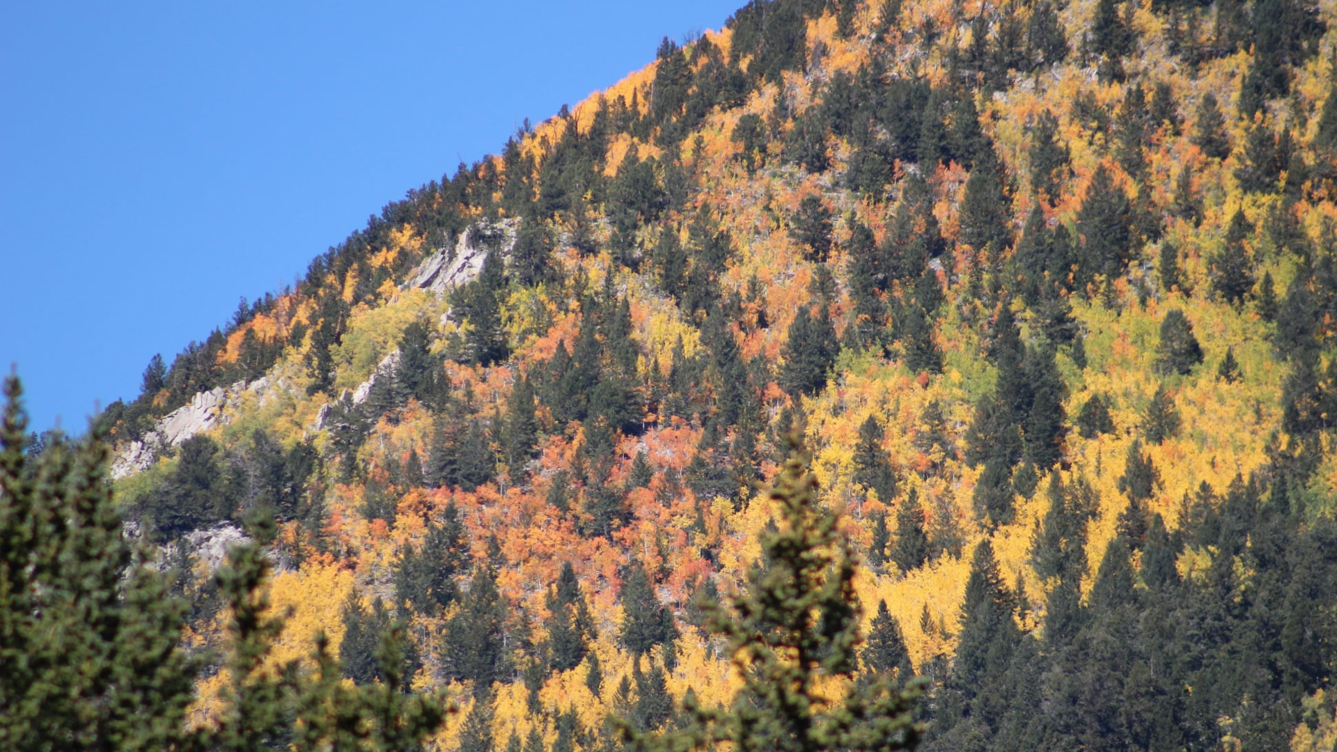 Nathrop Colorado Verna Toller.jpg