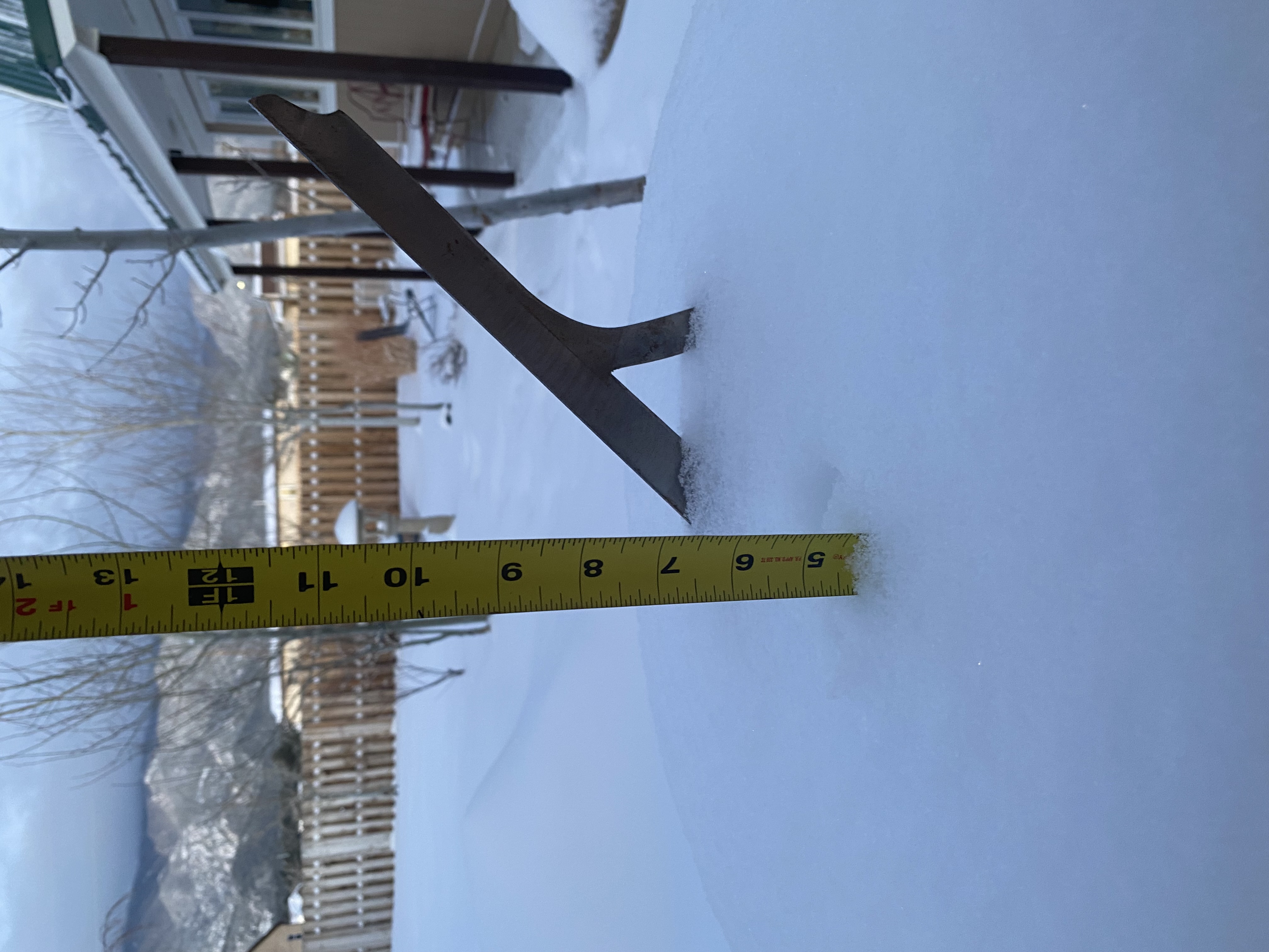 Snow in Rye, Colorado