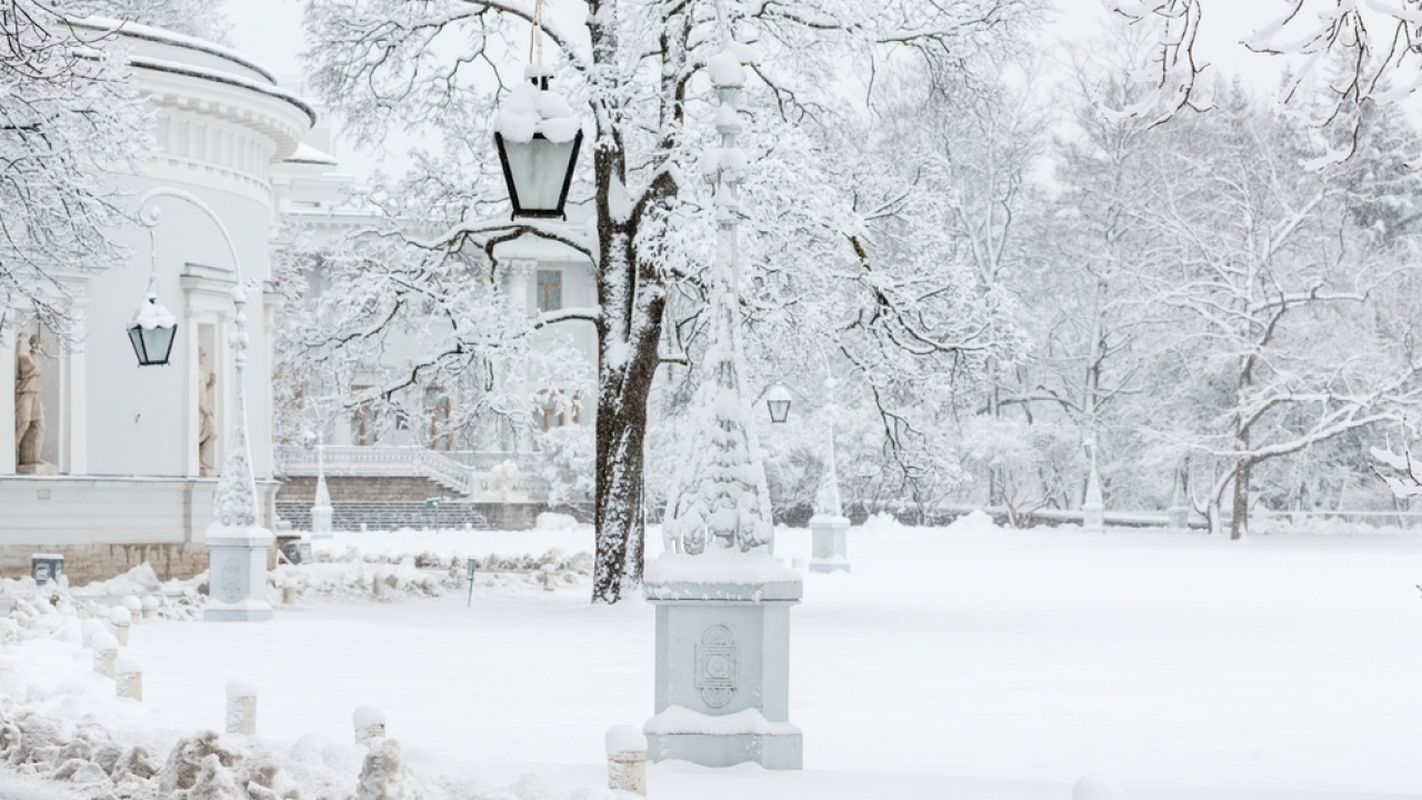 Snowy landscape shows a lawn full of snow.