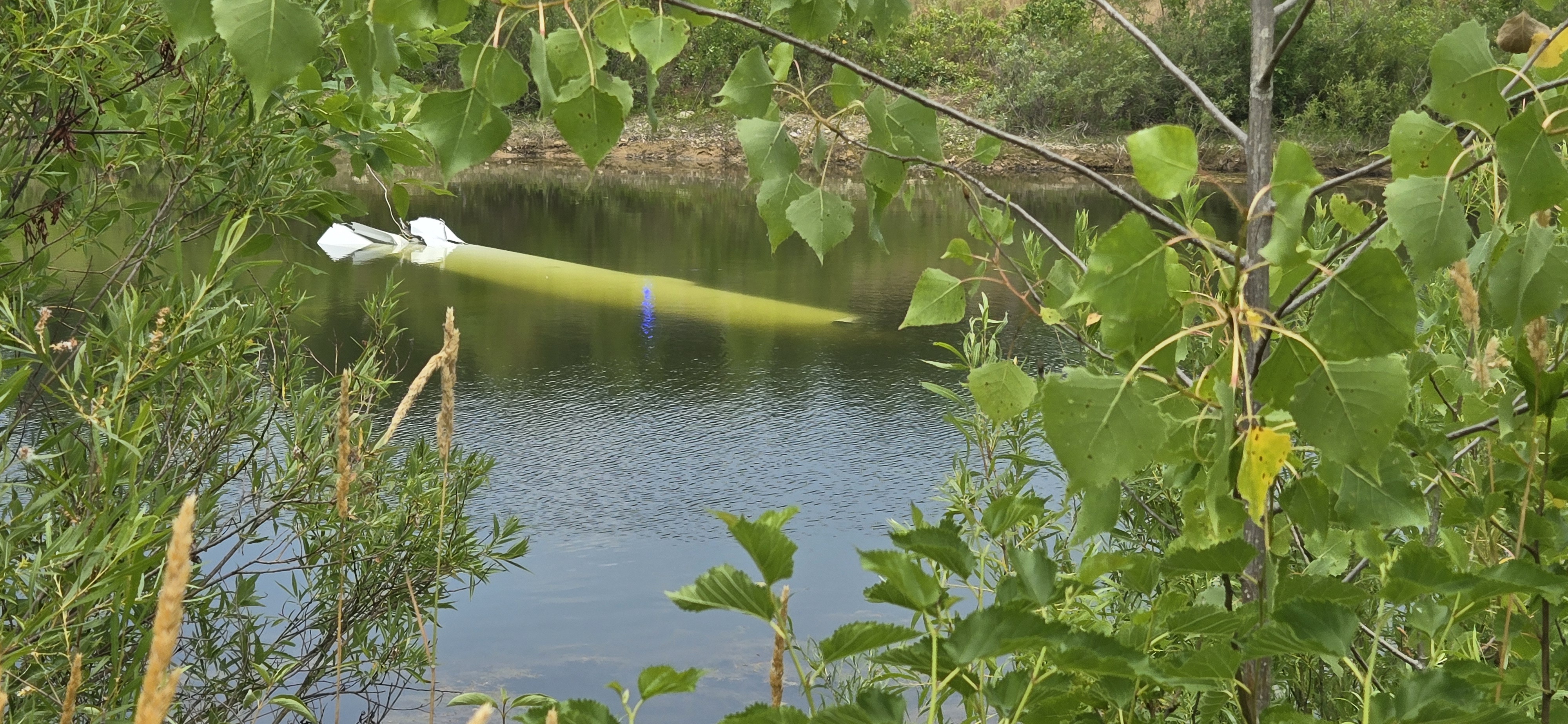 Georgetown Township plane in water