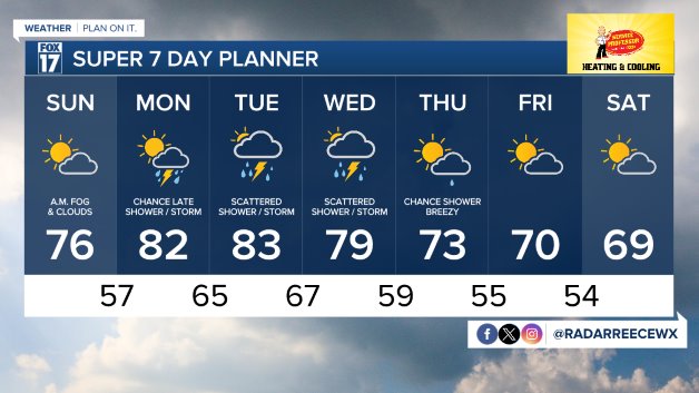 7 DAY FORECAST