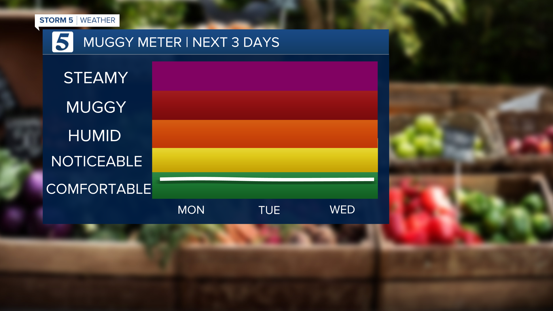 3 DAY MUGGY METER PM.png