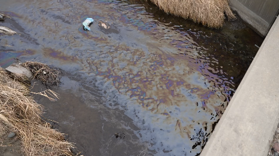 Screen Shot 2026-03-06 at 6.12.30 PM.png