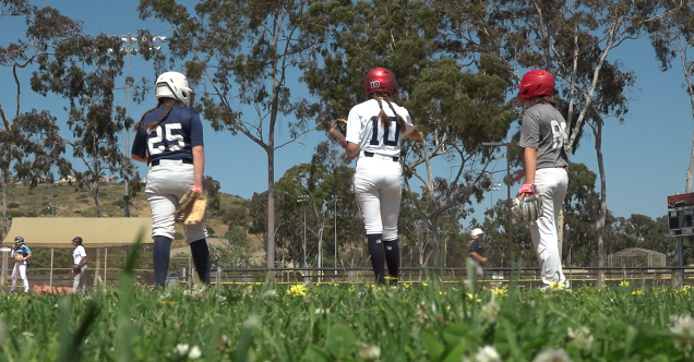 girls baseball.png