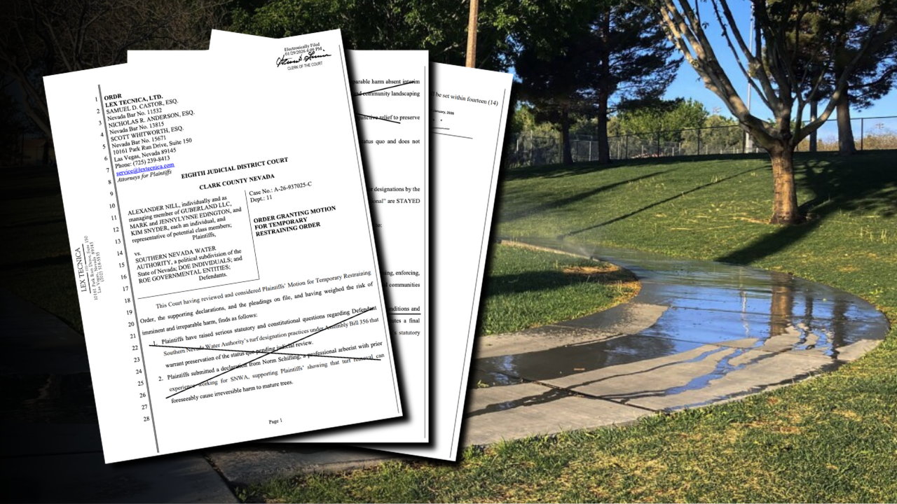 Judge issues order for SNWA to pause turf removal after lawsuit claims program killed 100K trees