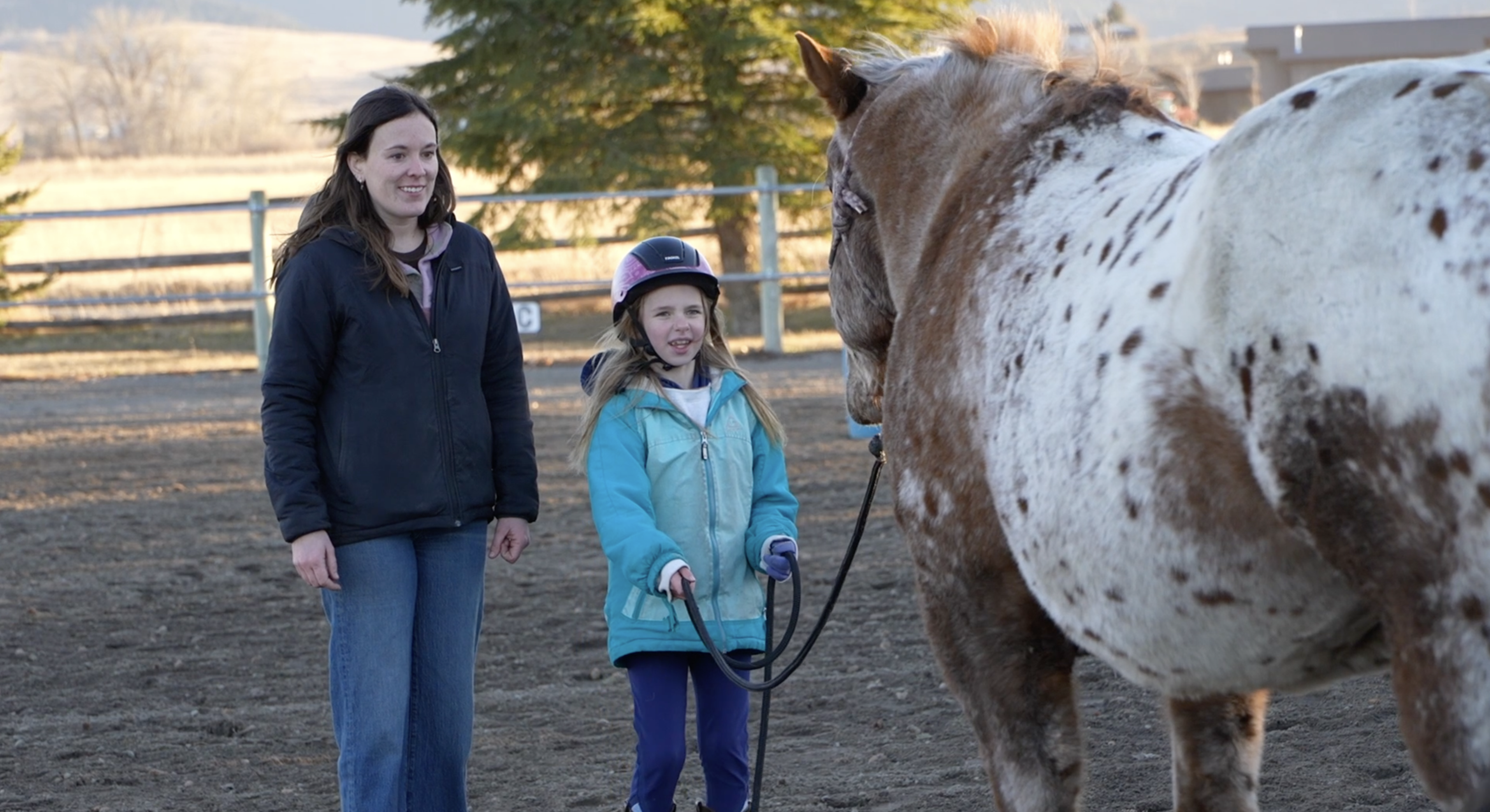 MONTANA AG NETWORK: WINDHORSE EQUINE LEARNING