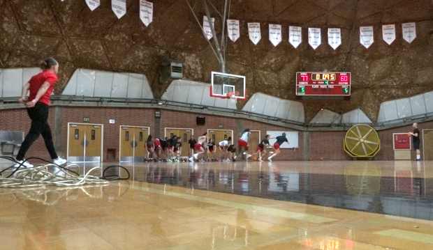 Palomar Hoops.png