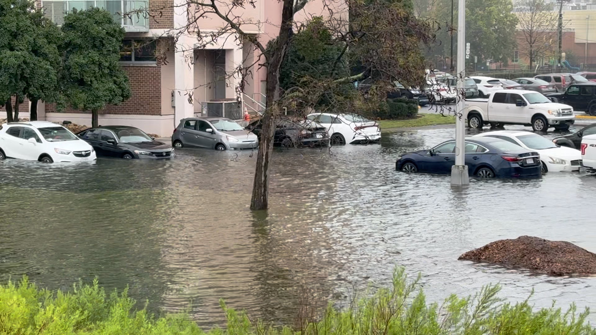 FLOODING AT THE HAGUE.jpg