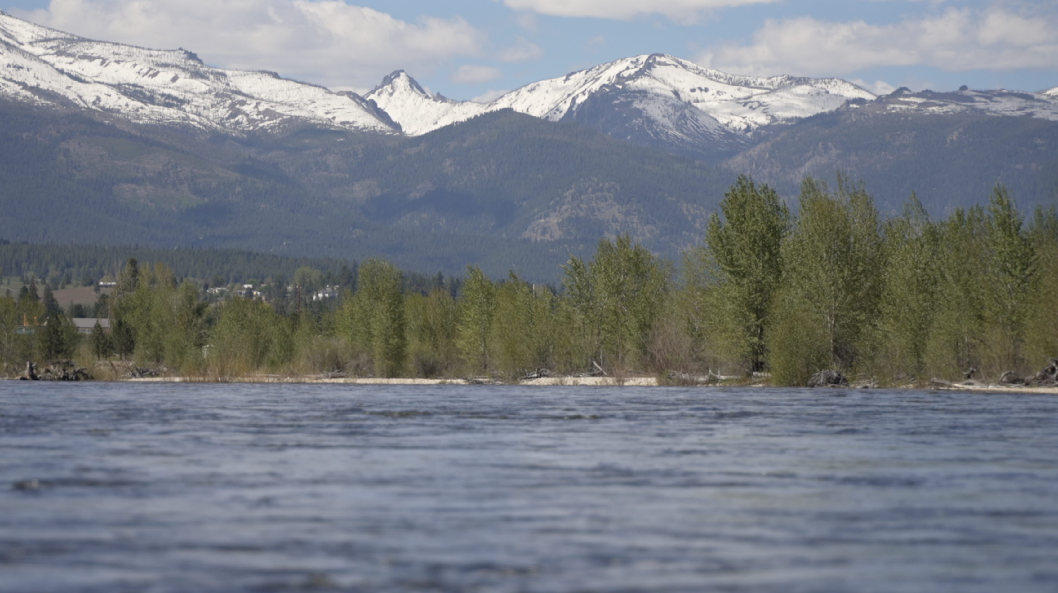 Bitterroot River