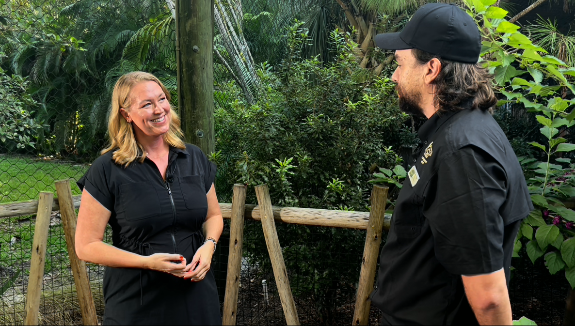 Lester Gulledge Palm Beach Zoo
