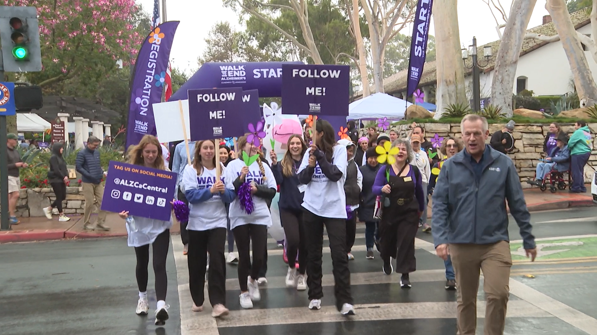 walk to end alzheimers 2024