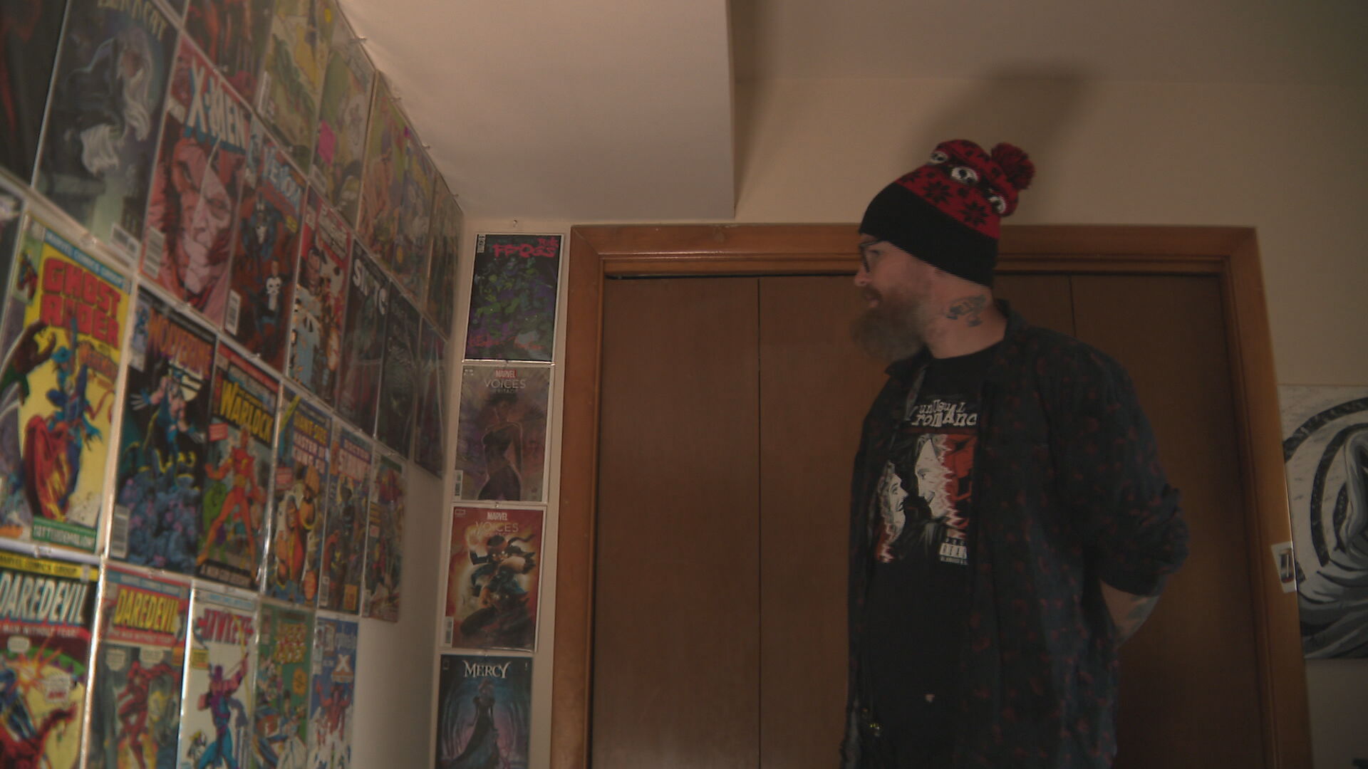 comic book collector.jpeg