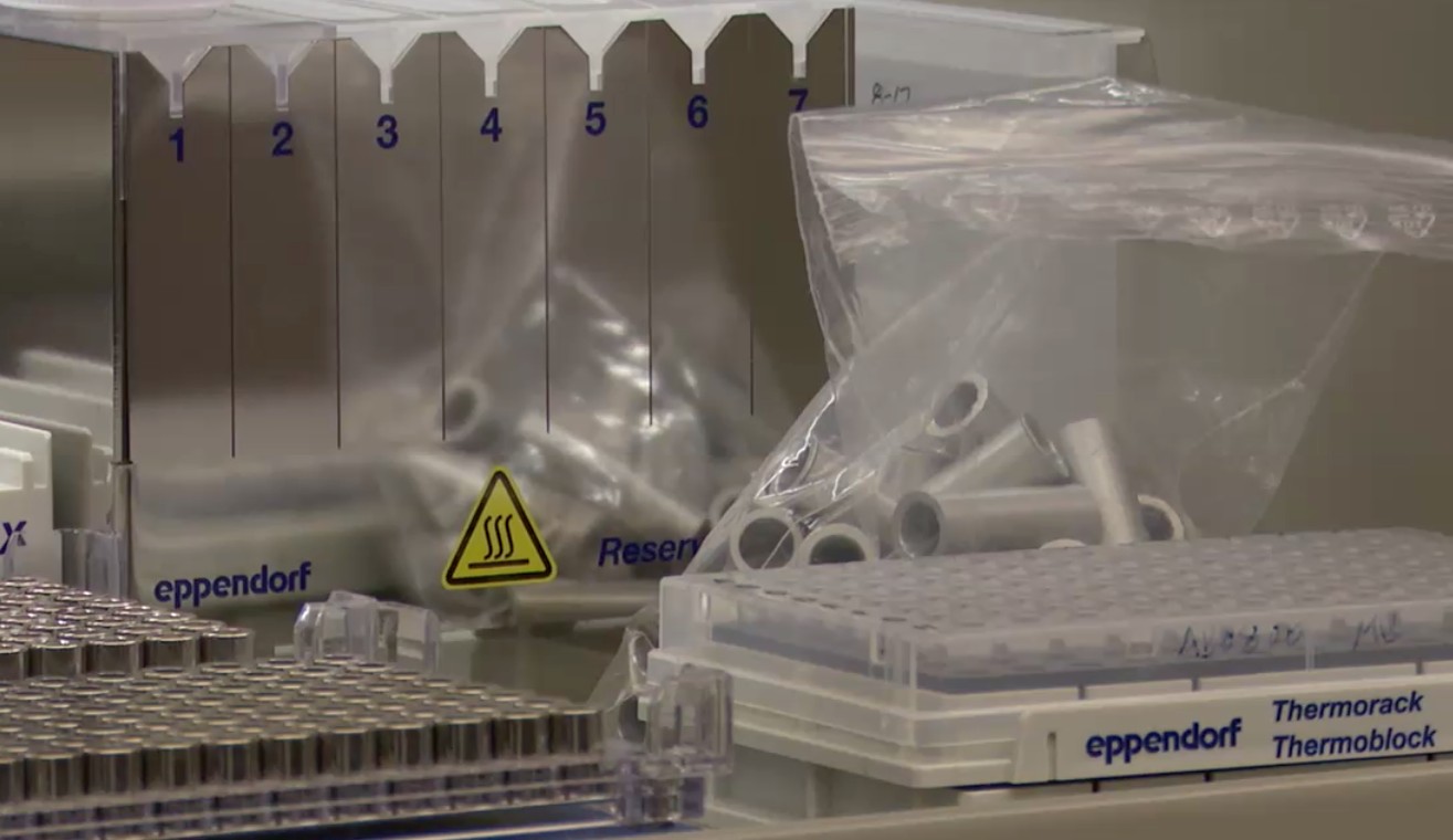 UM to begin assisting Montana with COVID-19 testing