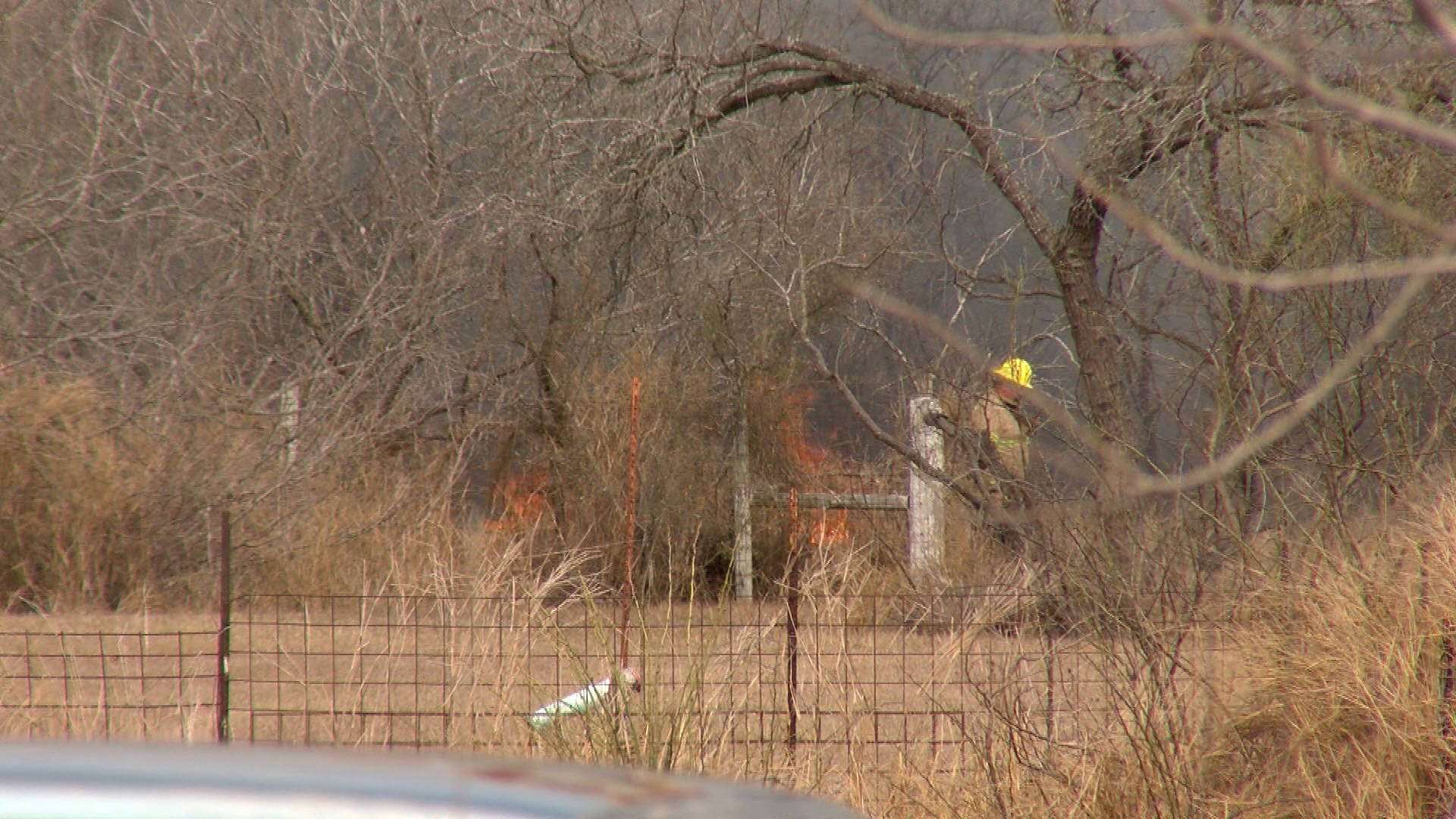 Rural fire crews have been staying busy with recent brush fires - Vimarsana News