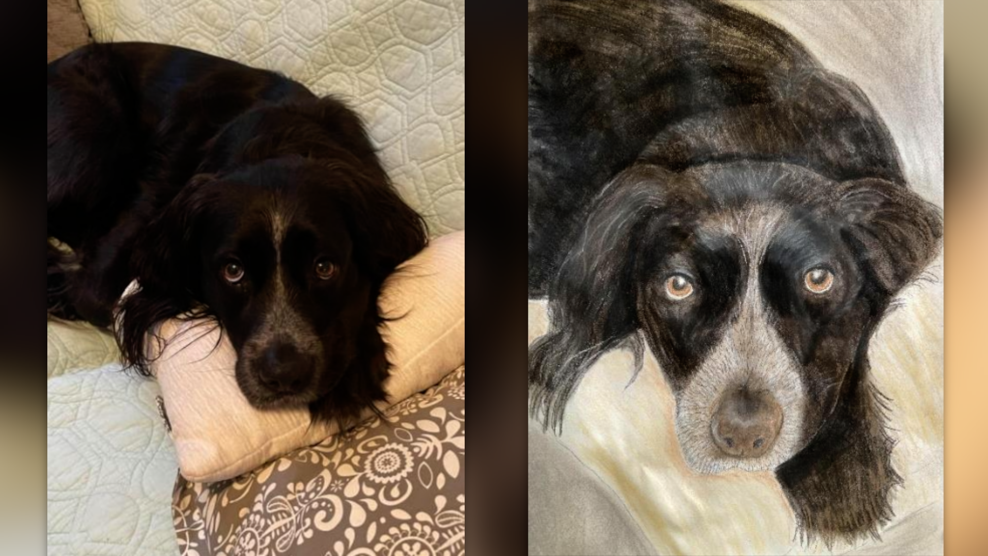 C-SNIP dog art.png