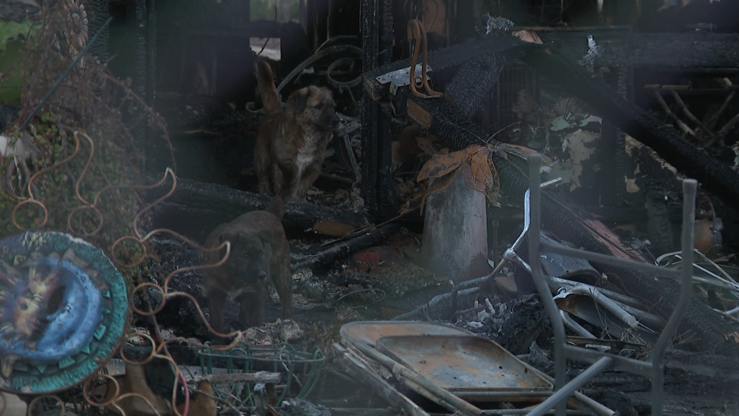 Screen Shot 2023-02-20 at 6.39.01 AM.png