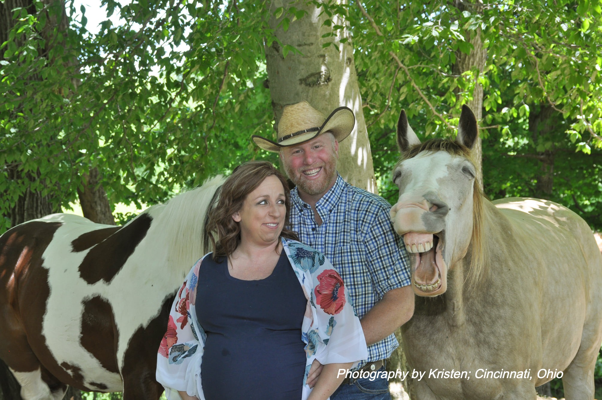 buckshot the horse
