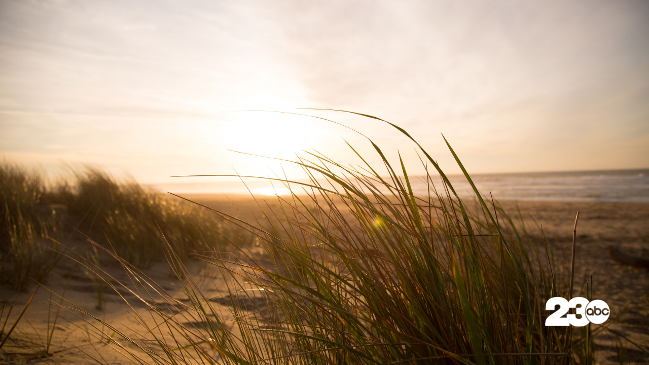 Wind at the Beach (FILE)