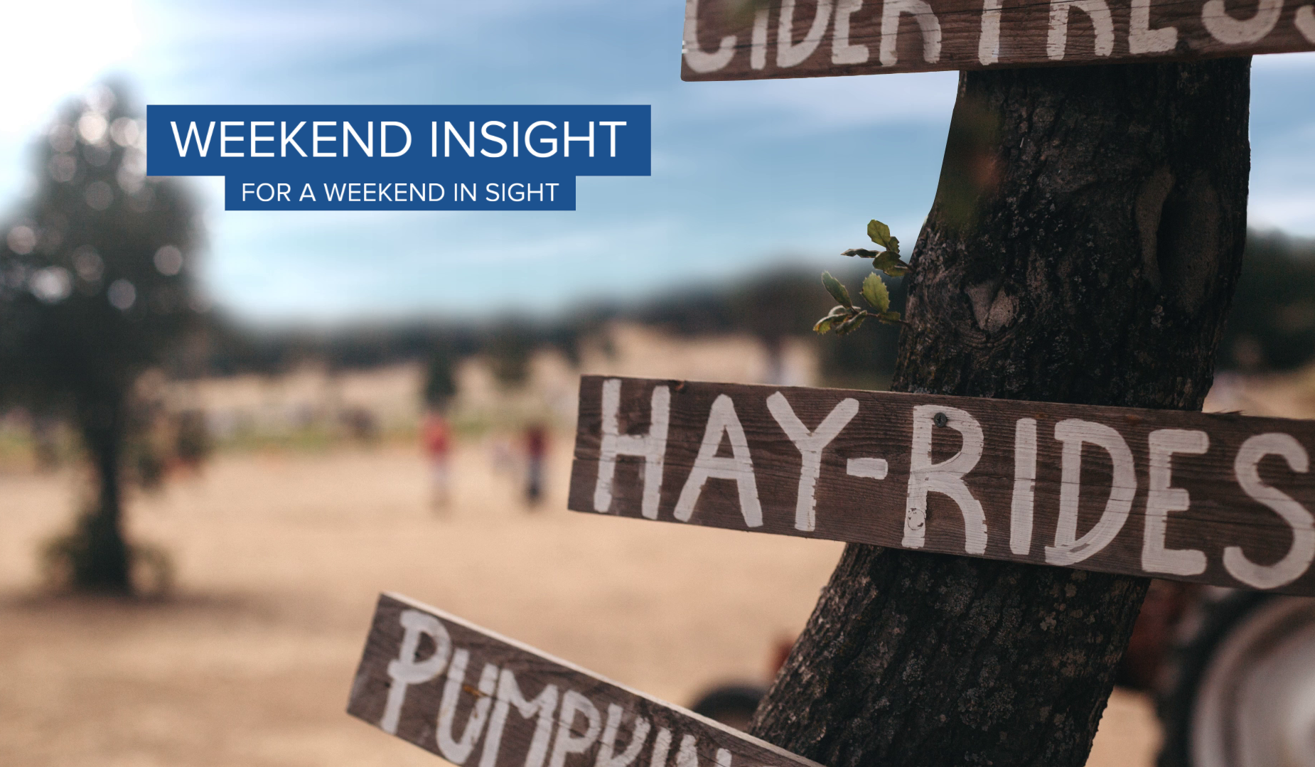 Thursday evening thumbnail